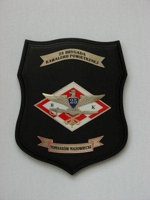 25.BKPow - TOMASZÓW MAZOWIECKI.JPG
