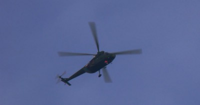 231.jpg