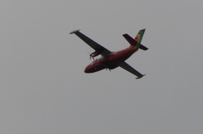 DSC08331.JPG