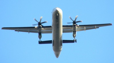 09.03.10_16.30_EPPO.JPG