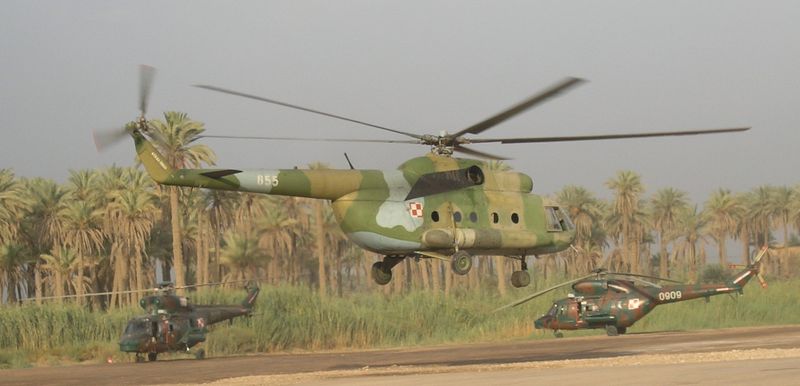 W-3's & Mi-8.jpg
