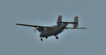 an-28.jpg