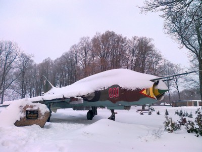 20101227061.jpg