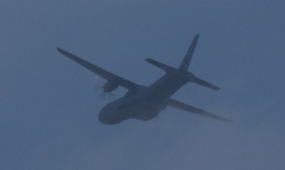 IMG_3971.jpg