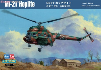 mi2.jpg