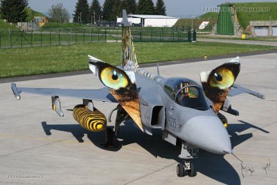 New Tiger for NTM 2011 in Cambrai.