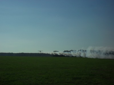 SDC16673.JPG