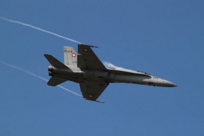 hornet.jpg