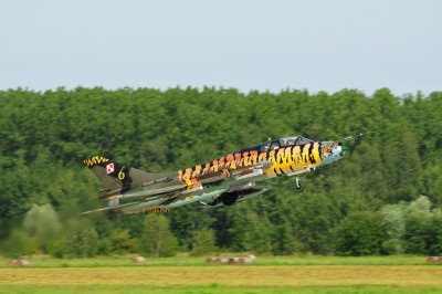 DSC_7833.jpg