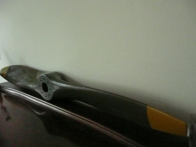 P1050630.JPG