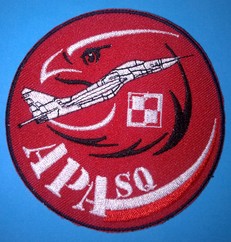 1378.APA Squadron.jpg