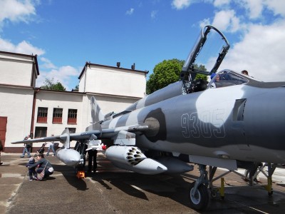 SLV1.jpg