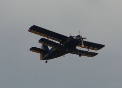 DSC02379.JPG
