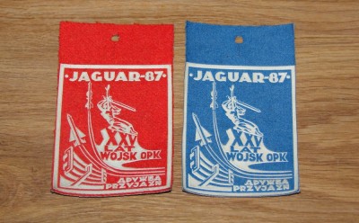 Jaguar87.JPG