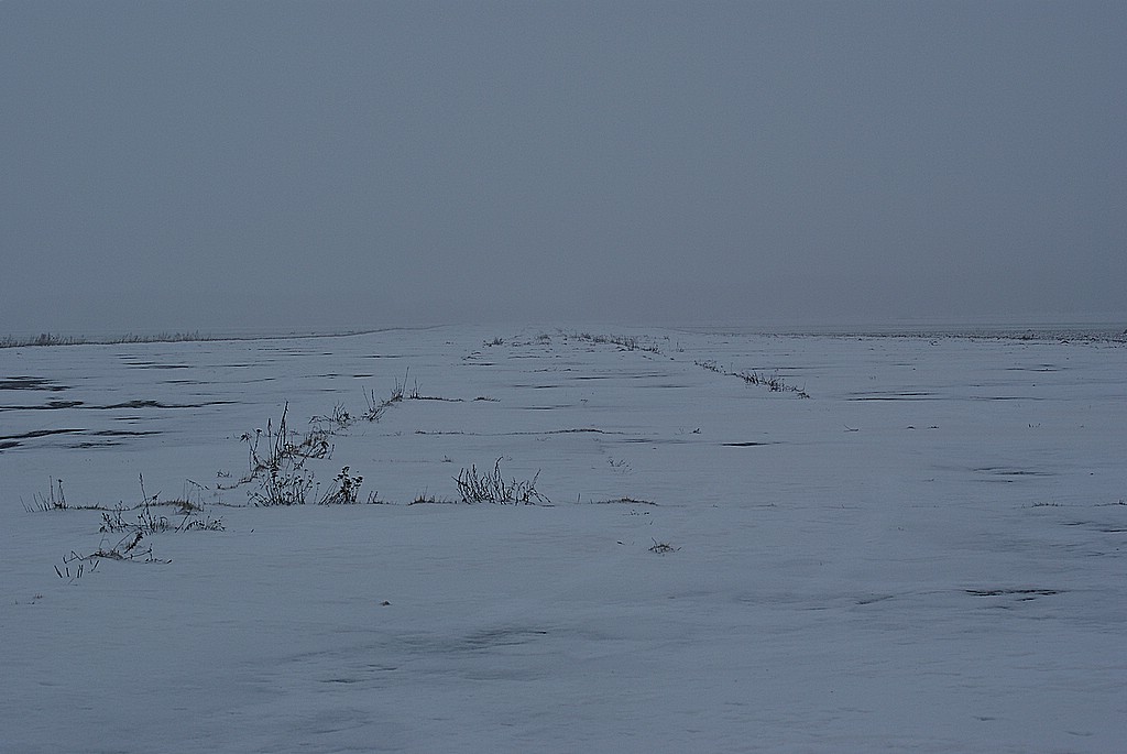 DSC00570.JPG