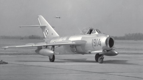 29plm.jpg