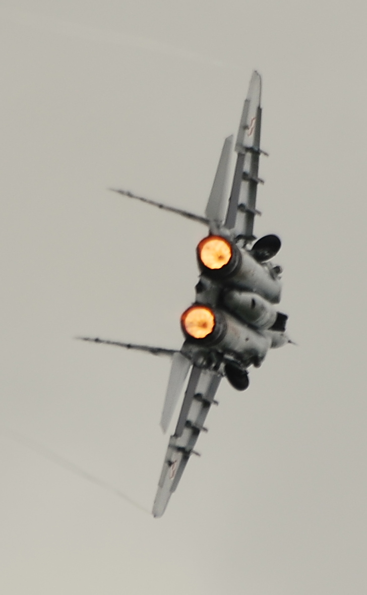 DSC_8550.JPG