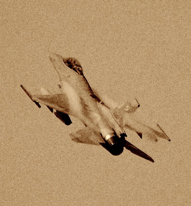 DSC_8375.JPG