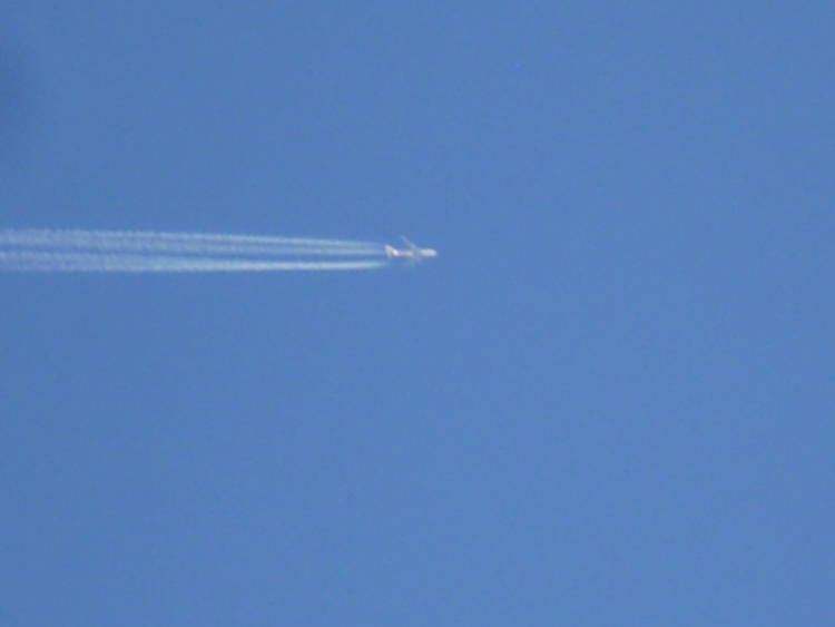 P3010458.JPG