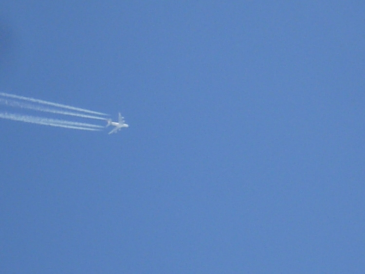 P3010431.JPG