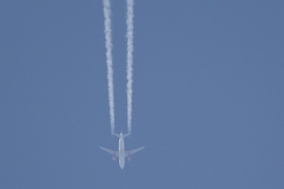 DSC08974b.jpg