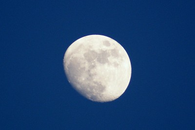 DSC02307.JPG